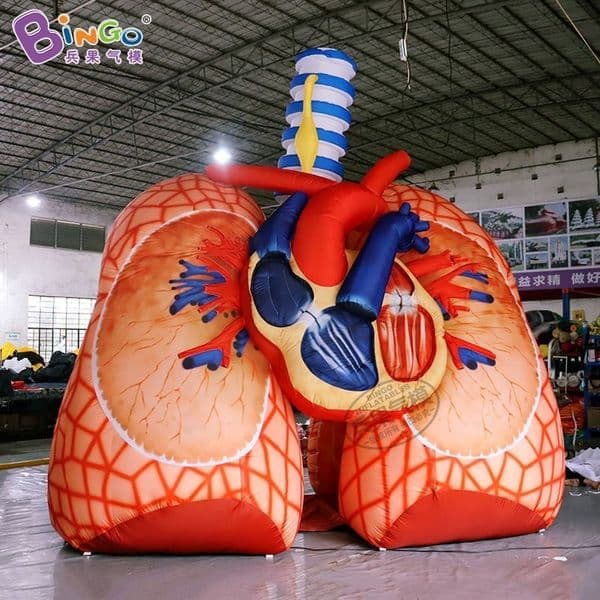 Free delivery Inflatable human organ channels, air models, heart, lung, blood vessels, brain channels, inflatable air models, health promotion activity equipment