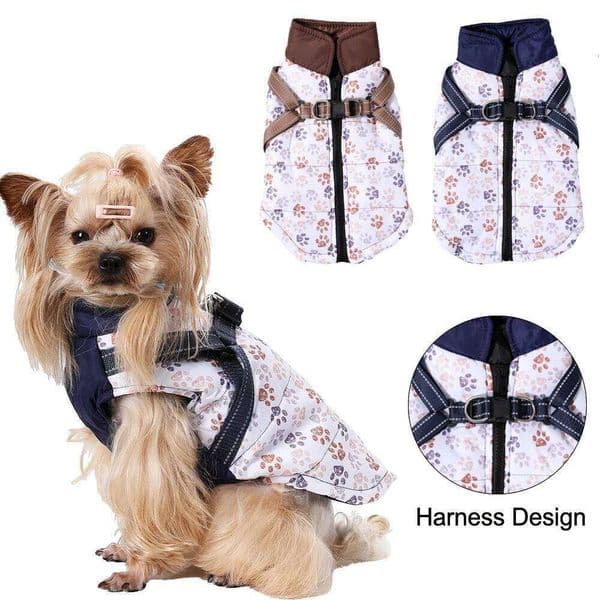 Hiking Pet Dog Clothes For Small Medium Dogs Cats Outdoor Camping Coat Waterproof Puppy Clothing with Sphynx Chihuahua Costume