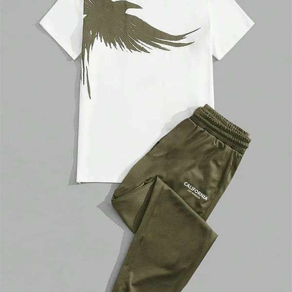 Simple Casual Mens T-shirt Short-sleeved Suit And Pants Fashion Eagle Print Pattern Sports And Leisure Two-piece Set 260330