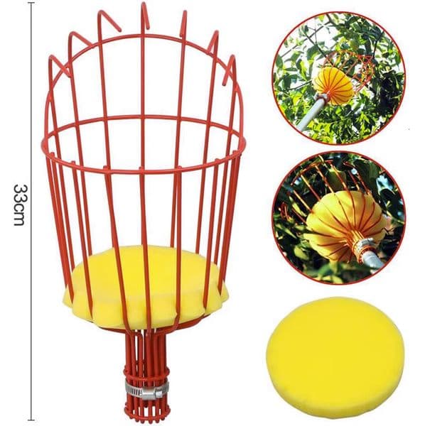 Bestseller Fruit Picker For Harvesting Papayas, Loquats, Peaches, Pomegranates, Persimmons, Bayberries, Kiwis, Pears, Plums, Apricots, And Jujubes Ddmytues