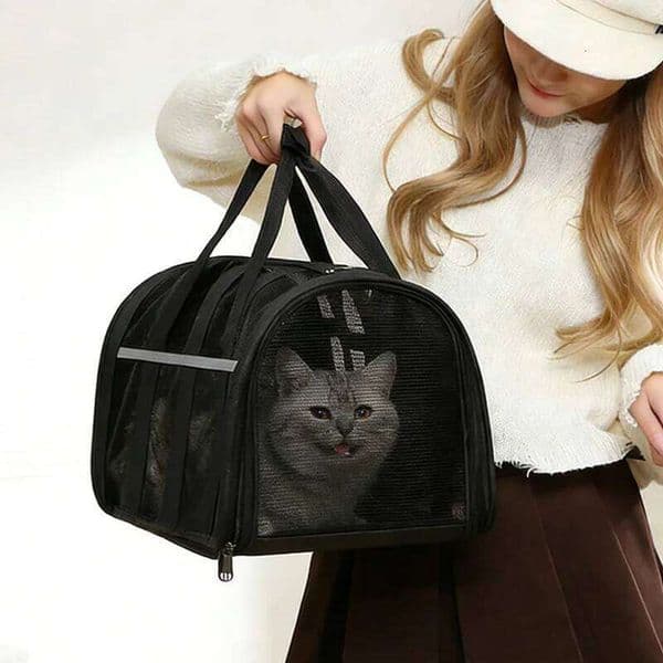 Portable Breathable Mesh Bag, Foldable Cat Dog Travel Handbag with Shoulder Strap, Soft Sided Pet Carrier