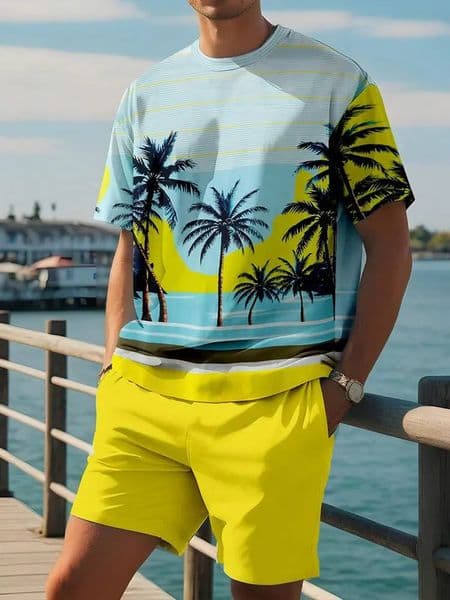 Mens 2 Piece Set Hawaiian Fashion Mens T-shirt Shorts Set Daily Casual Mens Short Sleeve Top Outdoor Beach Mens Short 260427