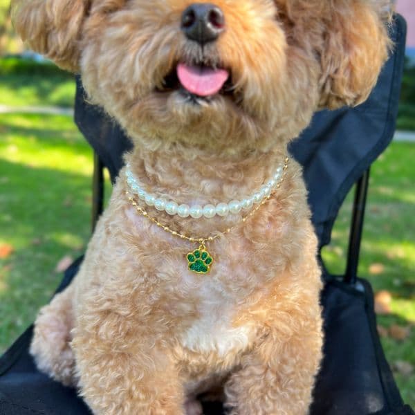 Comfortable Pet Necklace Pearl Collar Neck Footprint Pendant Double Chain Cat Dog Accessories 22910