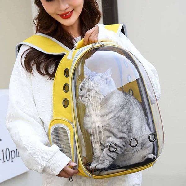 Cat Pet Carriers Dog pet backpacks portable transparent space capsules Soft Side Backpack Travel Bags Outgoing cat supplies 26H0505