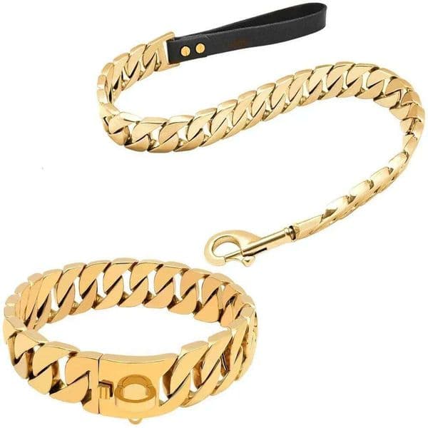 Durable Stainless Steel Collar Leash Suit Strong Pet Gold Silver Chain Lead for Medium Large Dog Walking Trainning 26H0506