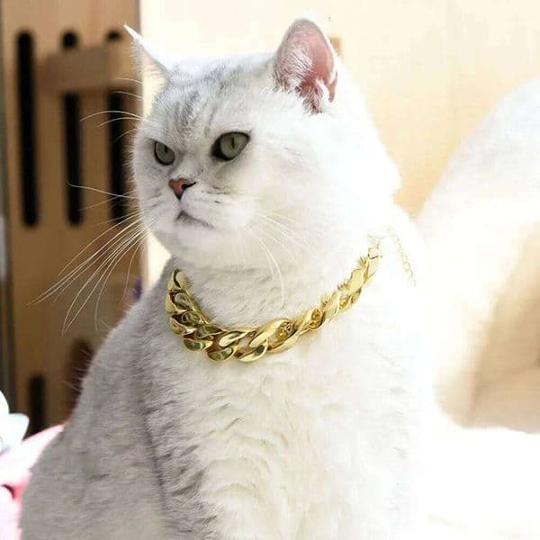 Plastic Neck Fashion Cuban Link Dog Cat Chain Collar Cool Sliver Gold Necklace For Kitten Puppy Accessories 26H0506