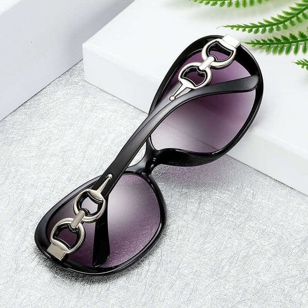 Luxury Sunglasses 2026 High-End Fashion Daily Korean Version Ins Style Fashion Outdoor Driving Women Running Street Stall Large Frame Classic Double Ring Sungla