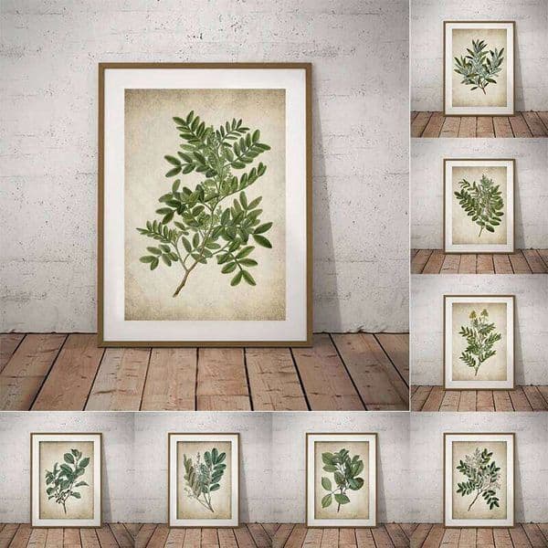 Vintage Green Leaf Botanical Poster Canvas Print Kitchen Wall Art Pictures Retro Painting Plant Posters Living Room Home Decor 26L0507