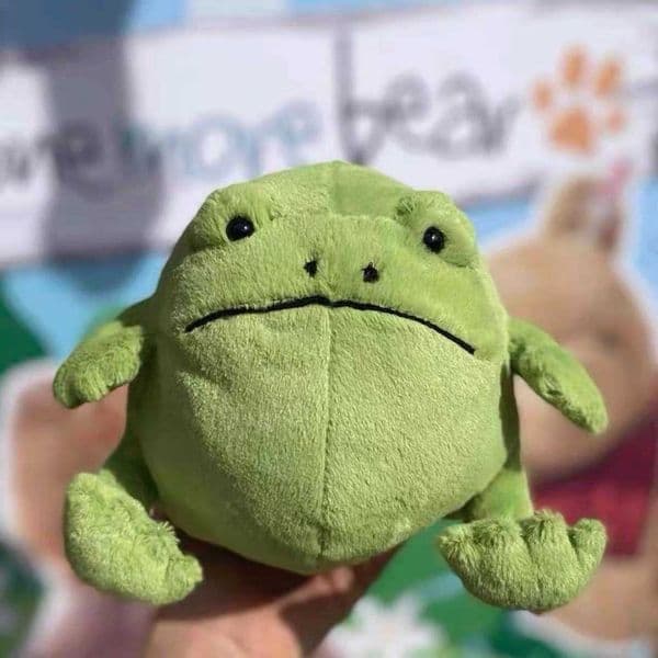 Plush Dolls Cute little frog plush toy a gift for best friends partners and children