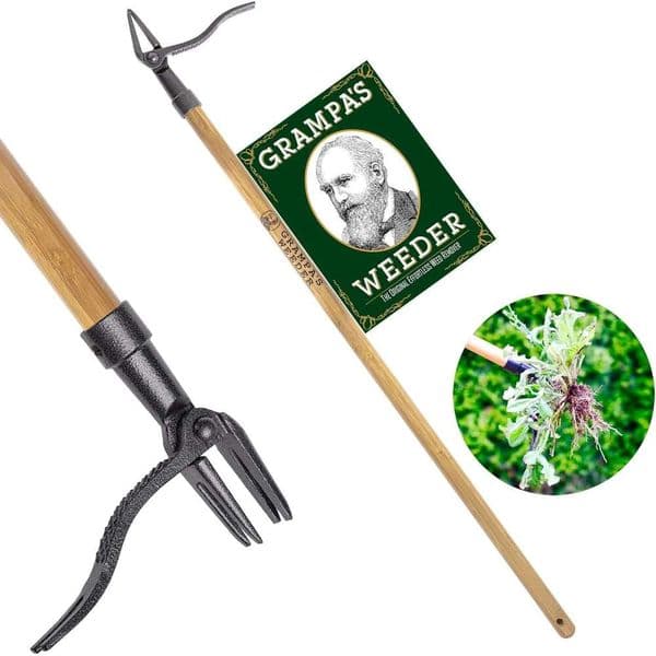 Grampa's Weeder The Original Stand Up Weed Puller Tool Long Handle Made with Real Bamboo & 4-Claw Steel Head Design - Easily Remove Weeds Without Bending,