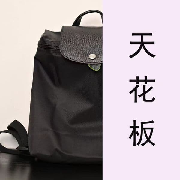 Longxiangbag Classic Backpack, Color-Block Large Capacity Double-Shoulder Student School Foldable Lightweight Nylon Bag, Women's Bag