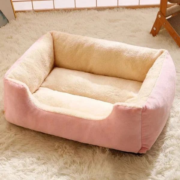 Bed for Cats Pet Products Cushions Kitten Winter Accessories Dog All Houses Supplies Things Accessory Habitats Basket House Beds 260508