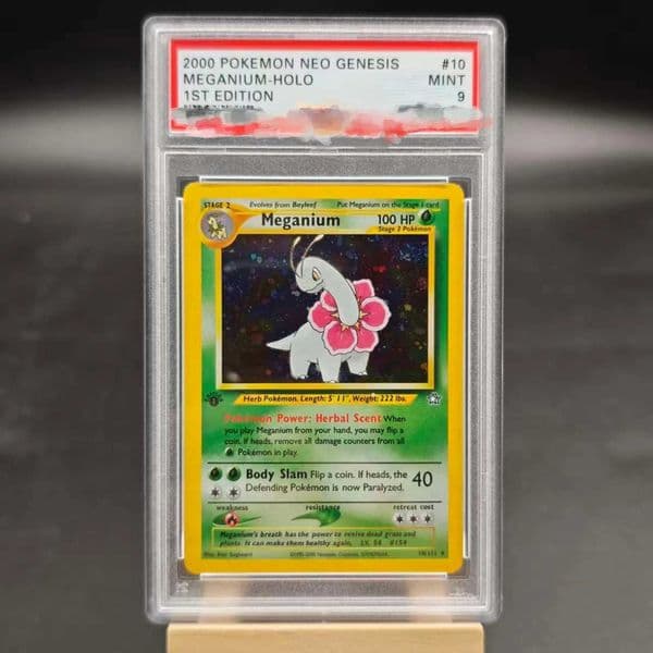 DIY PTCG Rating Card 2000 NEO GENESIS MEGANIUM-HOLO 1ST EDITION 10/111 EN Collection Card Copy 10Points Rating Card Anime Game L260511VA9E