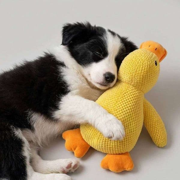 Yellow Quacking Fun Pet Fleece Bite Resistant Interactive Playtime Companion Sleeping Duck Toy Dog Supplies 26L0511