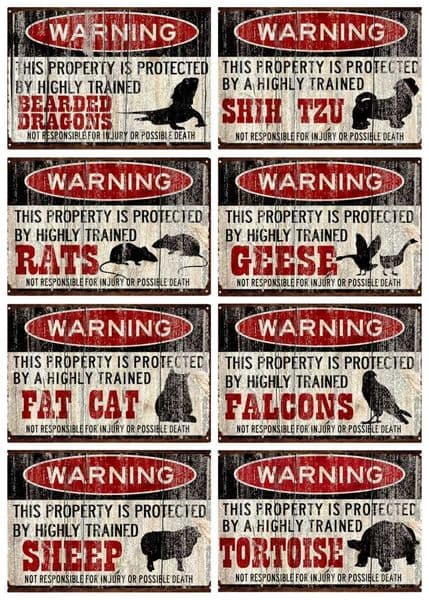 Animals Warning Metal Sign Beware of Dogs Sheep Parrot Rabbit Ducks Tin Poster Shabby Plaque Plates Movies Bar Home D T260512