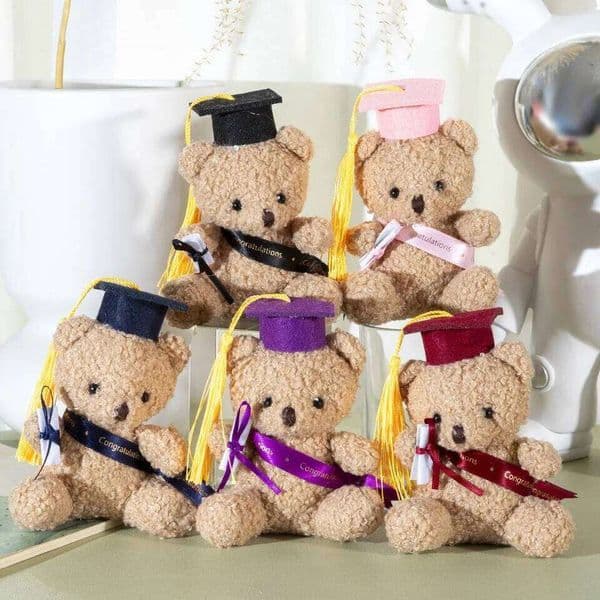 Dr. Cute Toy Doll Kindergarten Graduation Gifts Plush Doctor Teddy Bear Hanging Bag Charm Key Ring Holder J260512