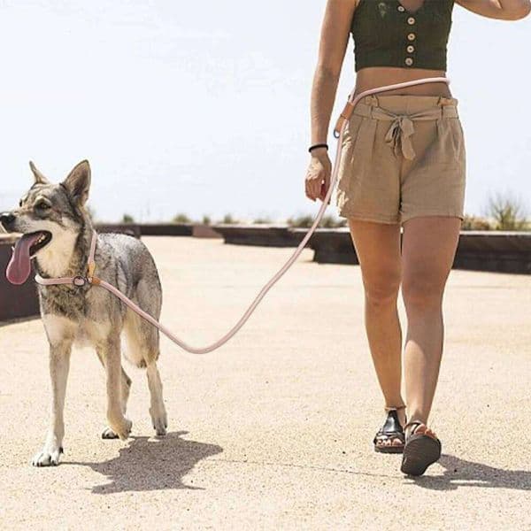 TRH Multi-functional adjustable P-shape dog leash Chain Traction Rope Leads for Running Walking Free hands free leashes 26W05011