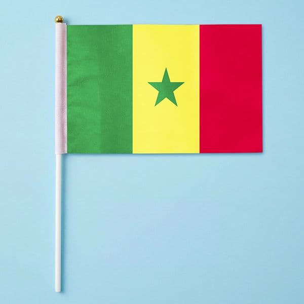 200 Countries World different Country flags Hand Waving flag With Hand Poles Gifts parade Gothering Cheering Banner