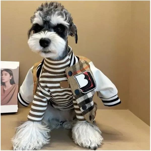 Luxury dog Designer Dog Accessories cat Outerwears Autumn Spring Baseball Jacket Cat Plush Thickened Warm Coat Teddy Clothing