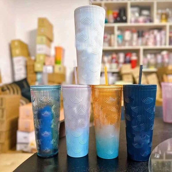 Creative Minimalist Large-capacity Fritillary Cup High Value Colorful and Practical Double-layer Water Cup with Lid and Straw L260513