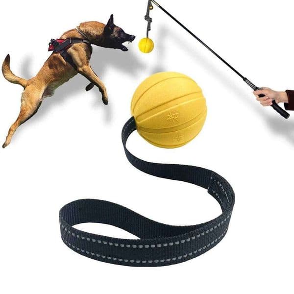 Dog Toy Balls On a Rope Small Medium Large Dogs Chewers, Durable Interactive for Training Dogs, EVA Foam Ball Floats 26W0514