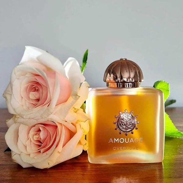 AMOUAGE Luxury Women Perfume 100ml Floral Oriental Chypre Fragrance Collection Long Lasting Elegan Vanilla Woody Musk Amber Gift Z260515
