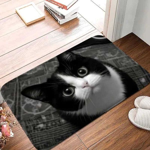 Entrance Doormat Realistic Cat Dog Pattern Rug Home Decoration Living Room Bedroom Kitchen Anti Slip Carpet L260515