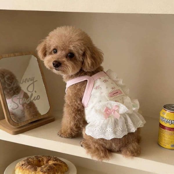 Spring Summer Cute Lace Suspender Pet Dress, Anti Shedding Clothes for Small Dogs Cats pupakaIK