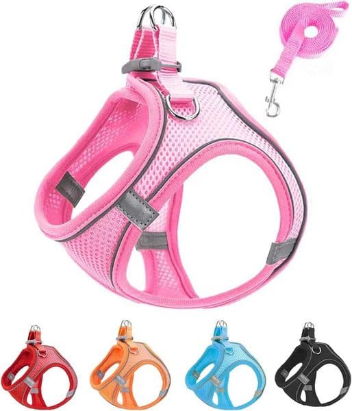 Soft mesh dog chest strap suitable for training walks adjustable dog vest suitable for small and medium-sized dogs and cats C260516