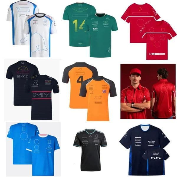 Motorcycle Gear High Quality Formula 1 T-Shirts - Racing Team ride gear Fans Casual Breathable Polo Shirt Summer Car Jersey Plus Size Custom Free Ship 66