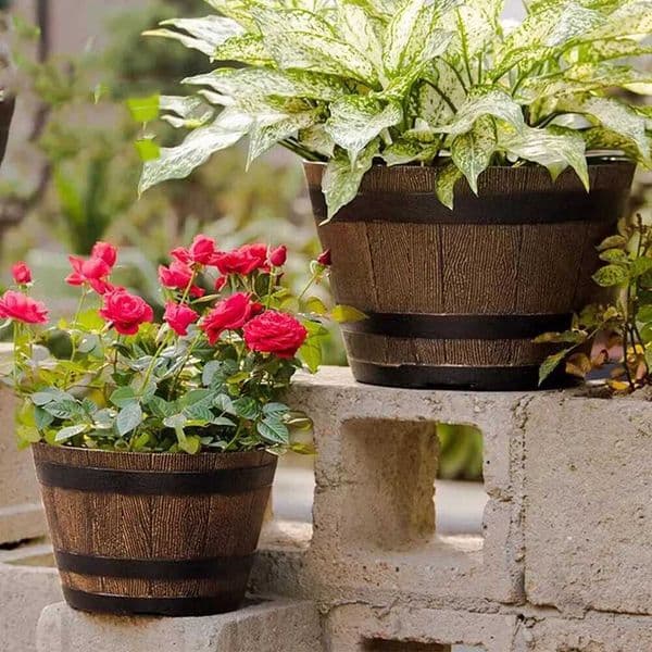 Rustic Whiskey Bucket Resin Pot For Indoor Living Areas Outdoor Patios And Garden Spaces With Succulent And Herb Suitability L260516