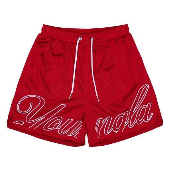 2025 Shorts Mens Sports Mesh Quick Drying Hipster Boxing Leg Training Hole Cloth Muscle Fitness Basketball Hipster Pants C260518