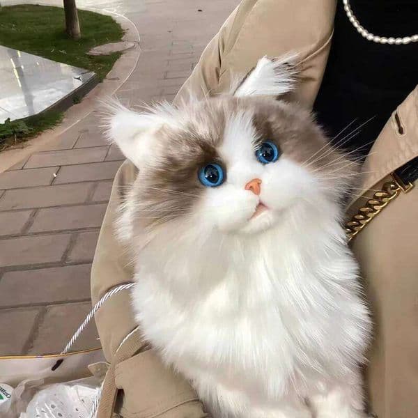 Lifelike Plush Toy Soft Simulation Cat Children'S Gift Elderly Companion Comfort Cute Pet Modeling Doll 26L0518