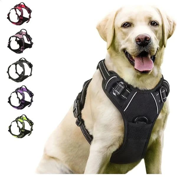 Dog Collars Harness Big Vests Leash Pet Shop Everything for Dogs Leather Puppy Accessories Medium Small Set 260509