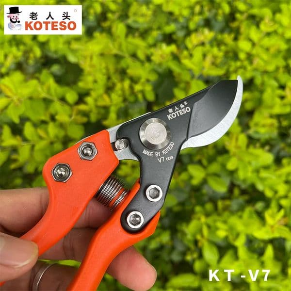 koteso garden horticulture scissors pruning kt v7 pruning branches fruit tree pruning pruning scissors garden tools professional pruning scissors