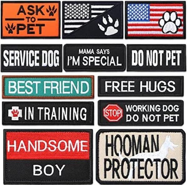 Dog Collar Designer Patches Removable Tactical Harness Set dog leash Service Embroidered In Training Animal Working Dog Patch