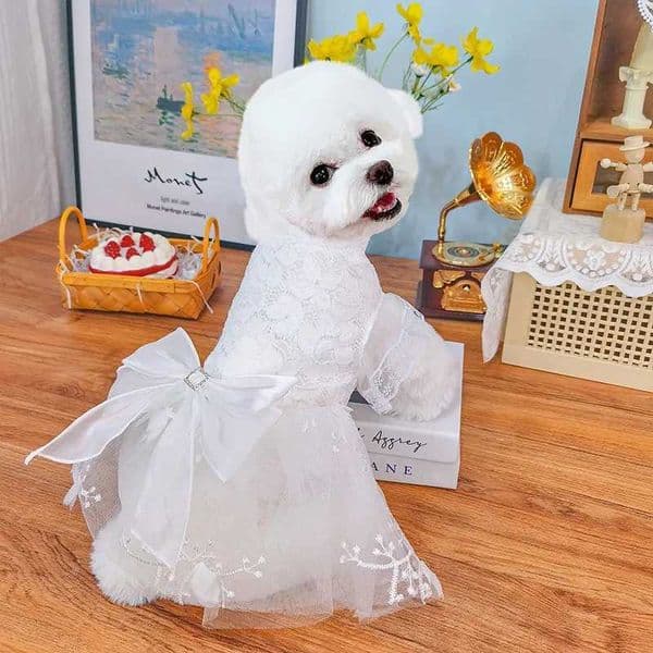 Summer New Puppy Dog Cats Clothing Pure White Lace Bow Wedding Dresses For Small Medium Dogs Chihuahua Poodle Pet Clothes XS-XXLR260518R260519