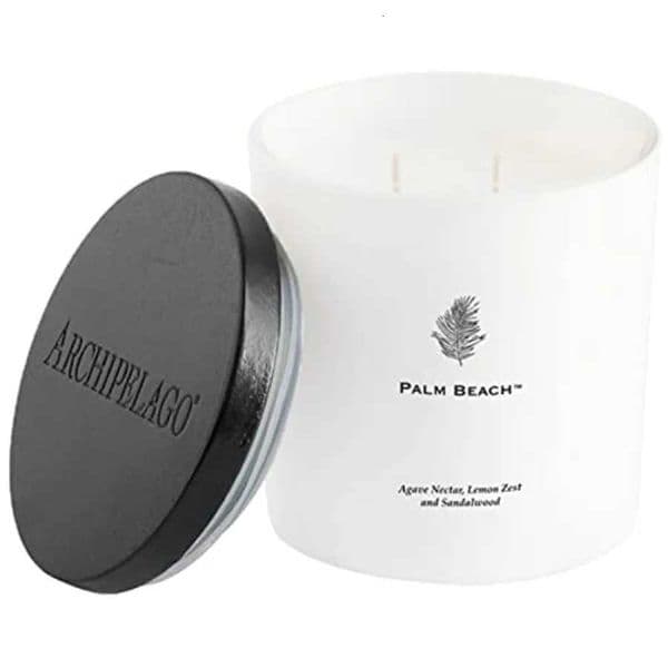 Luxe Candle Agave Nectar Lemon Zest and Sandalwood Scent Elegant White Glass Jar Candle Coconut Wax Double s Burn 100 HoursJ260519
