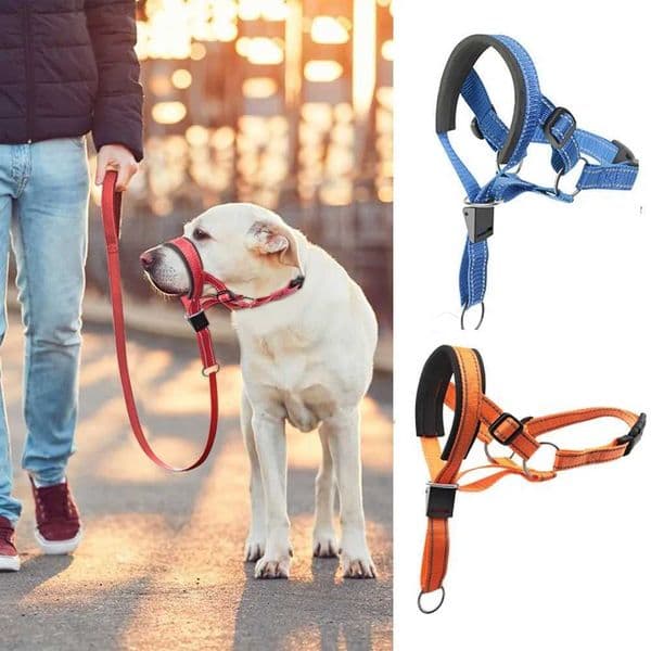 Traction Dog Mouth Cover Training with Nose Ring for Riot Control Adjustable Traction Rope Anti Bite Nose Hair Mask Pet Leash C260520