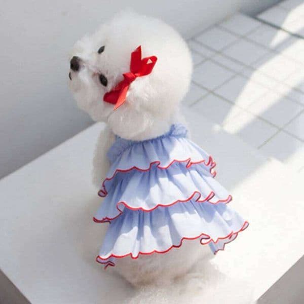 Summer Pet Clothing Chihuahua Teddy Skirt Cat Apparel Cute Puppy Clothe Dog Princess Dress J260520