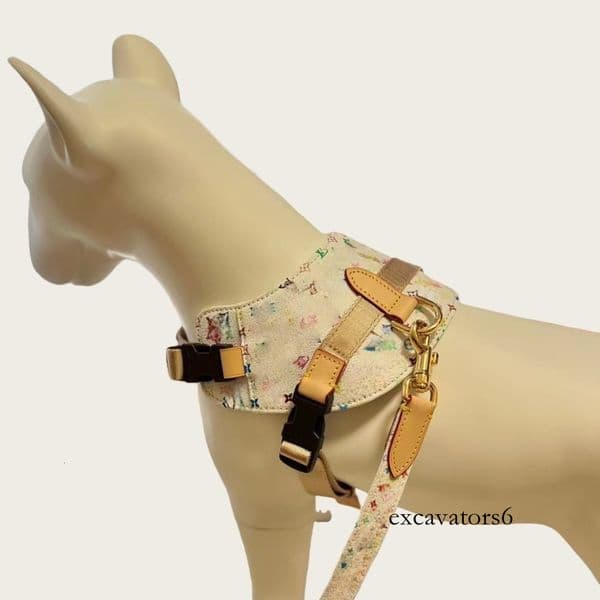 Designer Dog Harness Leash and Dog Bags Holder No-Pull Pet Vest No Choke Adjustable for Easy Walking and Training for
