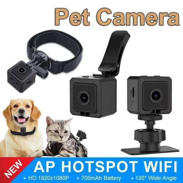Pet Portable Magnetic Sports DV Smart Wearable For Dog/Cat Walking Recording HD Wide-Angle Camera 26Y0520