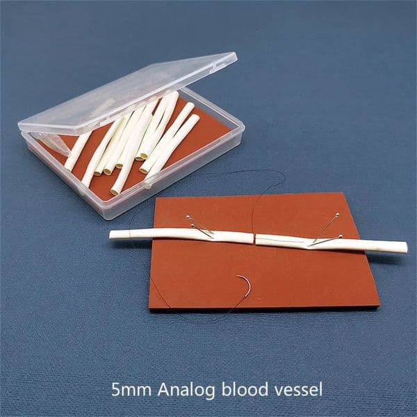 Bulk Office Supplies Wholesale Other Office School Supplies Microsurgery Blood school Vessel Anastomosis And Suture Practice Analog Tube Endtoend Teaching Tra 15