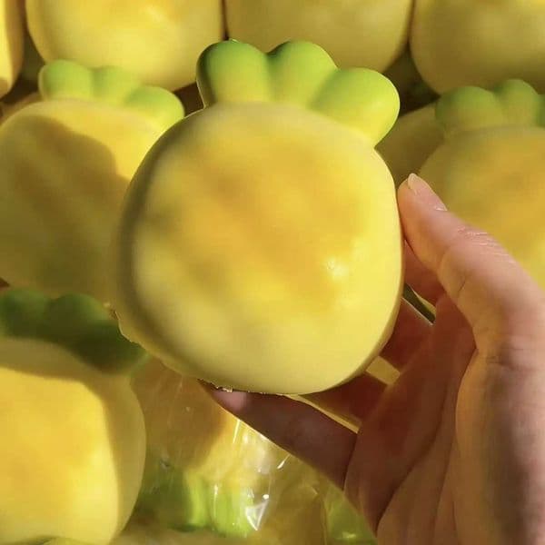 PineSqueeze Taba Squishy Toy Kawaii Yellow Squishies Fidget Toy Fruits Vegetables Soft Girl Birthday Gift Toy M260521