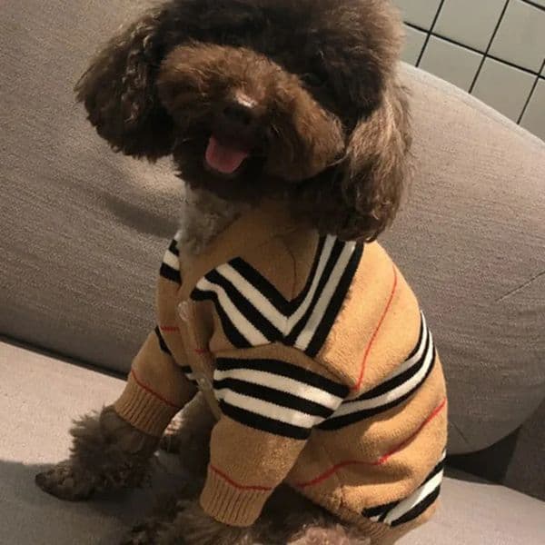 2026 New Classic Winter Dog Clothes Cat Vest Small Sweater Designer Pet perfume Supply Clothing For Puppy Knitting Sweatshirts Csd C E9e cologne Free Shipping 1011