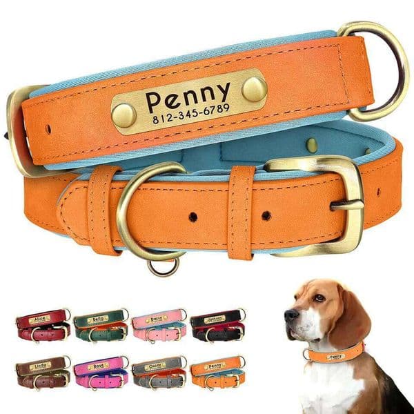 Personalized PU Leather Padded Dog Customized ID Nameplate Pet Collar For Small Medium Dogs Durable Necklaces Accessories 26W0521
