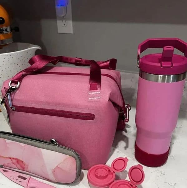 2026 US cologne Stock All Day Julienne Mini Soft Lunch Bag Box Recycled Polyester 10 Can Travel Cooler Bags Black perfume Pink With Crossbody Strap Free Shippin 1011