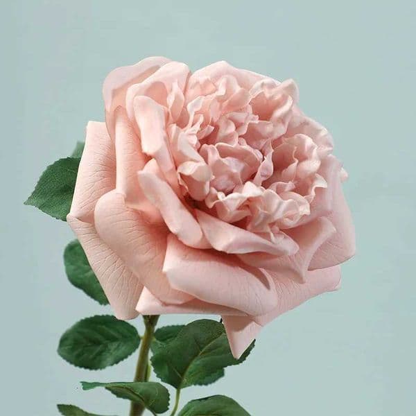 5Pcs Moisturizing Austin Rose Real Touch Artificial Flowers Wedding Decor Rose Bouquet Party Floral Arrangement Home Decoration L260522