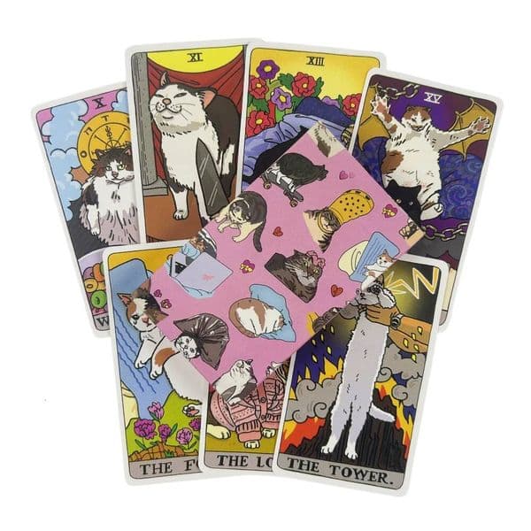 Cards 22 Major Arcana Meme Witchy Deck Cat Kawaii Uwu Funny Pink Cute Tarot