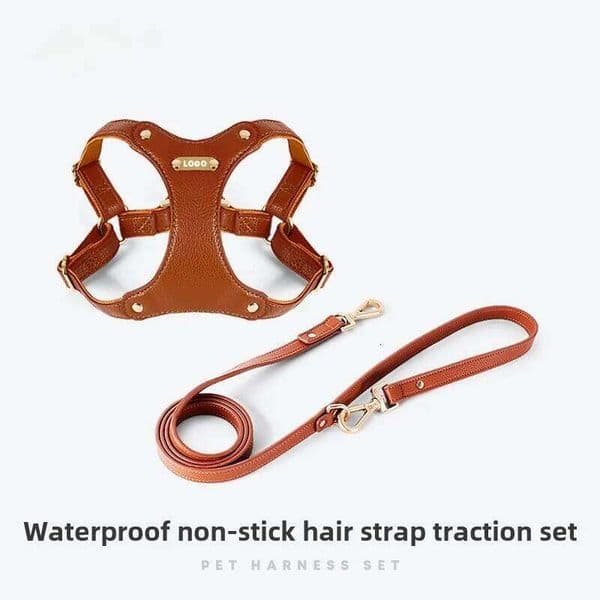 Loudik Wholesale Leather Pet Adjustable Chest Strap Cat Collar Set Medium and Small Dog Puppy Accessories Leash J260522